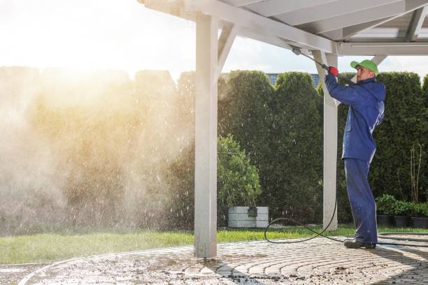 Best Brick and Stone Cleaning in Gonzales, TX