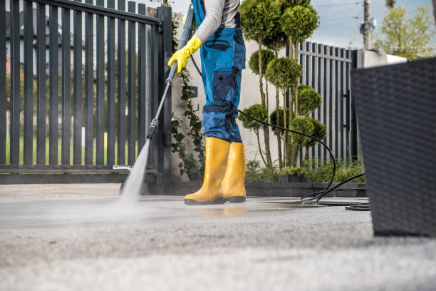 Best Fence Cleaning and Maintenance in Gonzales, TX